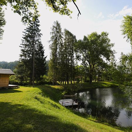 Апартаменты Haus Am Fischteich Feistritz ob Bleiburg Экстерьер фото