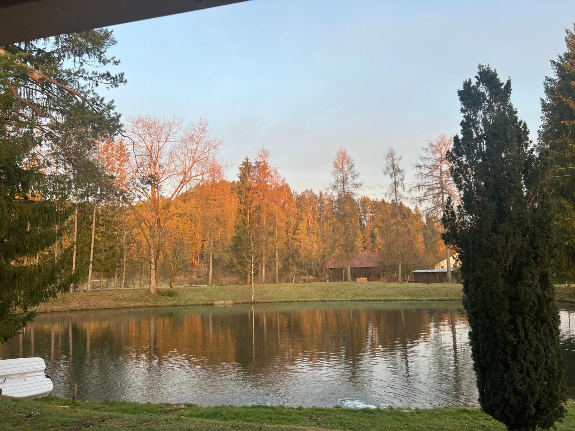 Апартаменты Haus Am Fischteich Feistritz ob Bleiburg Экстерьер фото