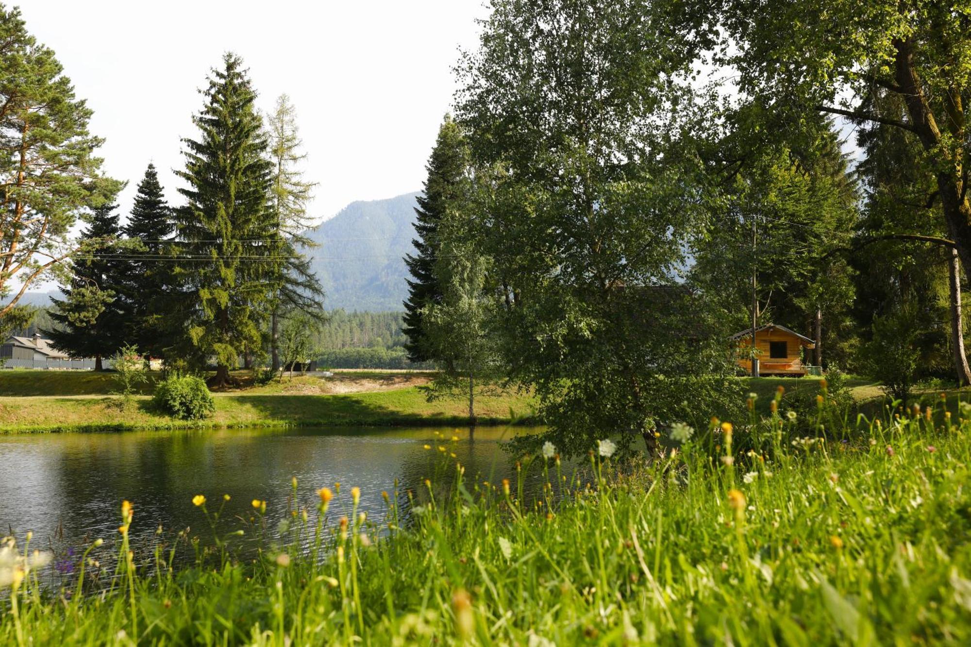 Апартаменты Haus Am Fischteich Feistritz ob Bleiburg Экстерьер фото
