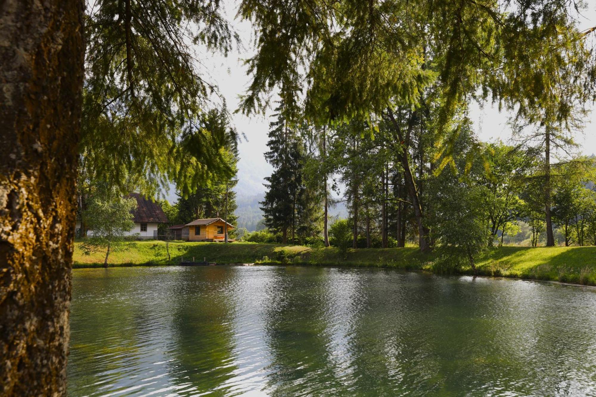 Апартаменты Haus Am Fischteich Feistritz ob Bleiburg Экстерьер фото