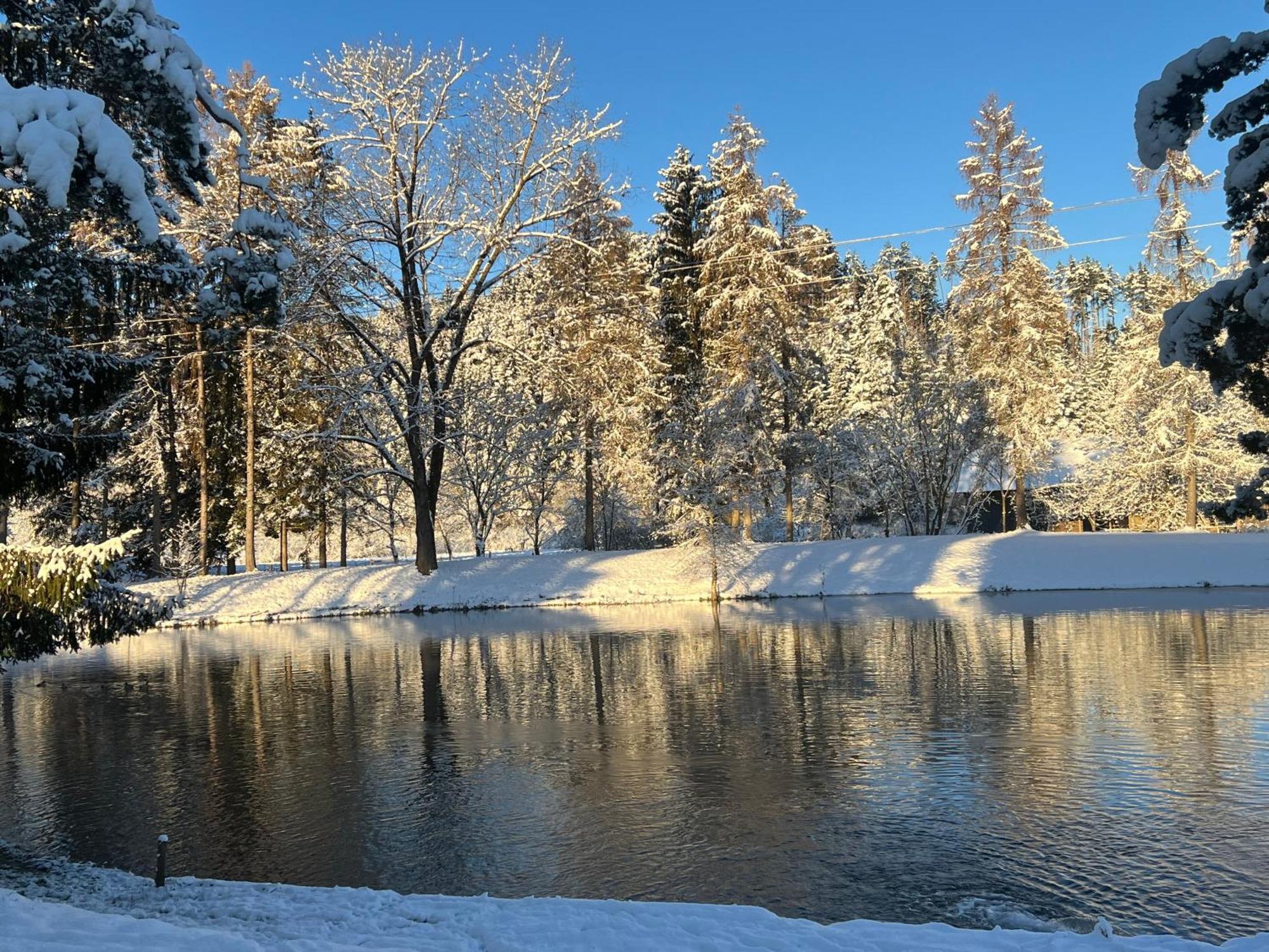 Апартаменты Haus Am Fischteich Feistritz ob Bleiburg Экстерьер фото